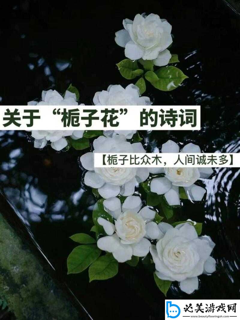 搭伙