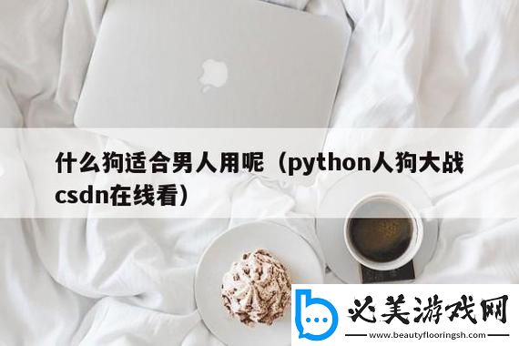 码农狂欢